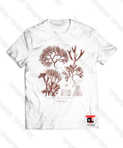 Irish Moss Viral Fashion T Shirt