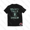 Gravity Falls Oregon