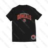 cincinnsti bengals
